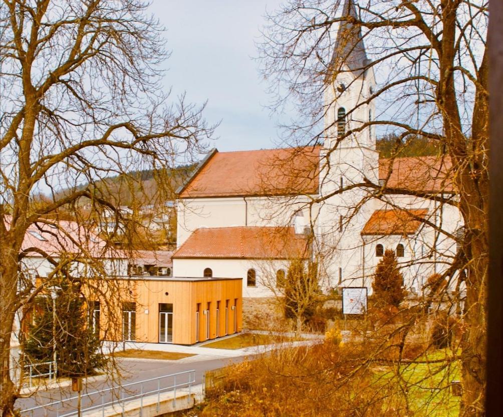 Pension Bergbauer Prackenbach Экстерьер фото